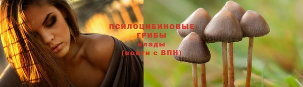 трава Навашино