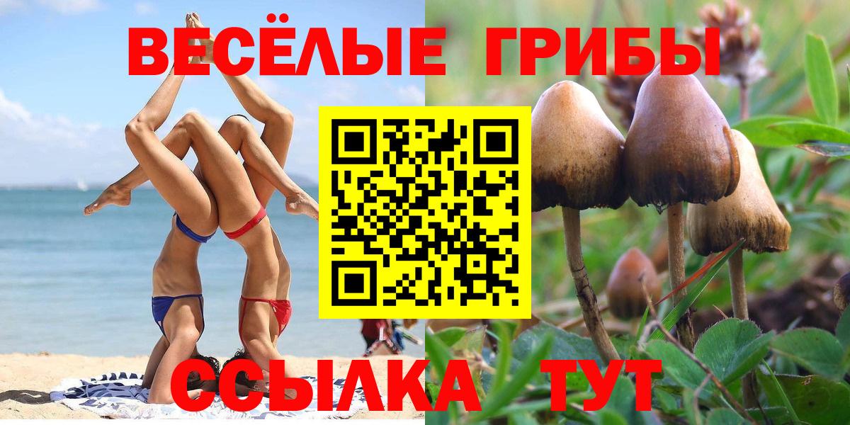 Псилоцибиновые грибы мицелий  Вход с VPN  купить закладку  Звенигород 
